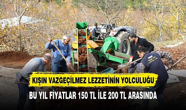 Kışın vazgeçilmez lezzeti'nin sofralara yolculuğu başladı