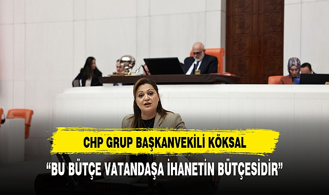 KÖKSAL,"BU BÜTÇE VATANDAŞA İHANETİN BÜTÇESİDİR"