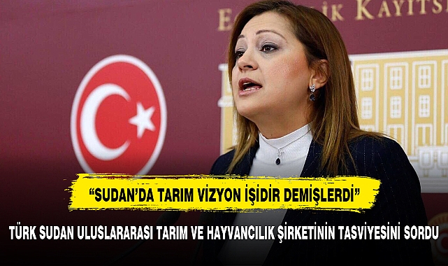 KÖKSAL,"SUDAN’DA TARIM VİZYON İŞİDİR DEMİŞLERDİ ŞİRKETİ TAVSİYE ETTİLER"