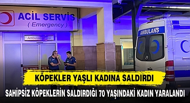 Köpekler Yaşlı Kadına Saldırdı
