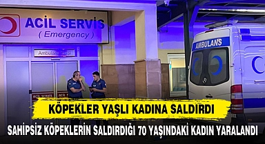 Köpekler Yaşlı Kadına Saldırdı