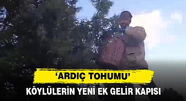 Köylülerin Yeni Ek Gelir Kapısı