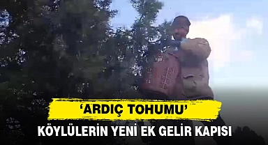 Köylülerin Yeni Ek Gelir Kapısı