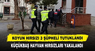 Koyun Hırsızı 3 Şüpheli Tutuklandı