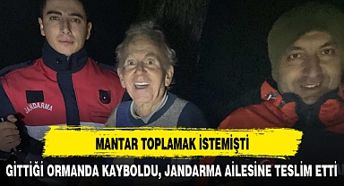 MANTAR TOPLAMAK İSTEMİŞTİ