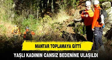 MANTAR TOPLAMAYA GİTTİ