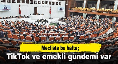 Meclis'te bu hafta: Çalışan emeklilere 5 bin lira görüşülecek; TikTok yöneticisi dinlenecek