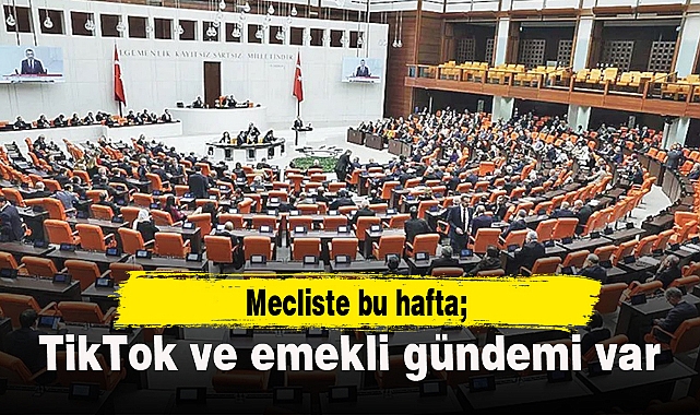 Meclis'te bu hafta: Çalışan emeklilere 5 bin lira görüşülecek; TikTok yöneticisi dinlenecek