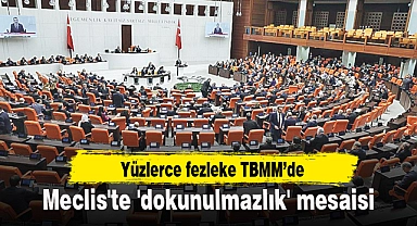 Meclis'te 'dokunulmazlık' mesaisi: 733 dosya rafta