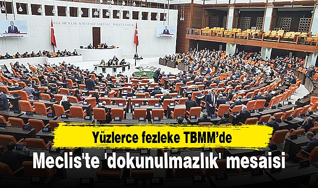 Meclis'te 'dokunulmazlık' mesaisi: 733 dosya rafta
