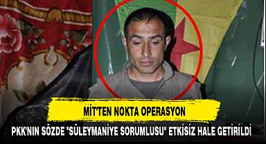 MİT'TEN NOKTA OPERASYON