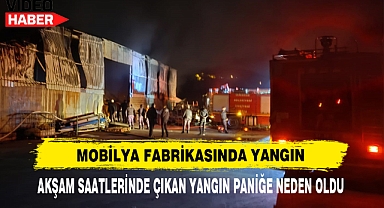 Mobilya Fabrikasında Yangın