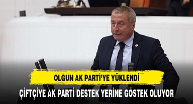 Olgun AK Parti'ye tarım politikaları üzerinden yüklendi