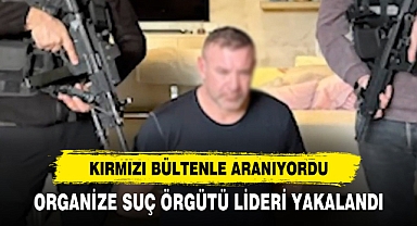 Organize Suç Örgütü Lideri Yakalandı