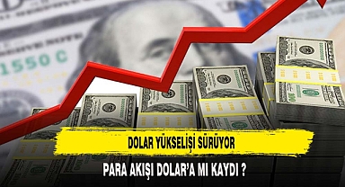 PARA AKIŞI DOLAR'A MI KAYDI ?