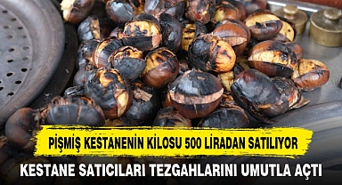 PİŞMİŞ KESTANENİN KİLOSU 500 LİRADAN SATILIYOR
