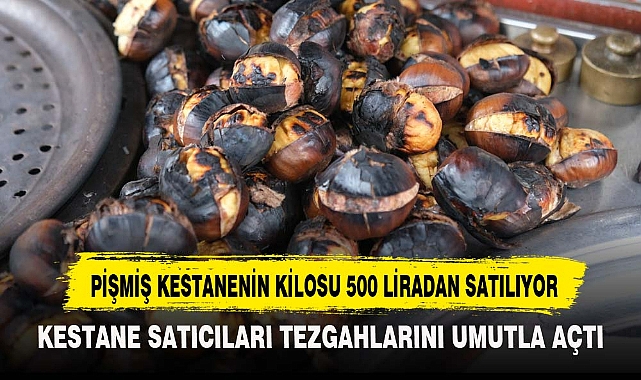 PİŞMİŞ KESTANENİN KİLOSU 500 LİRADAN SATILIYOR