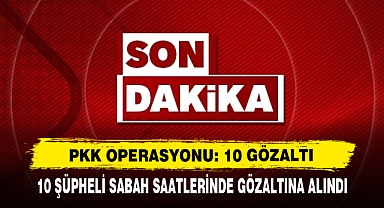 Pkk Operasyonu: 10 Gözaltı