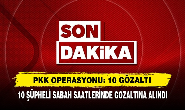 Pkk Operasyonu: 10 Gözaltı