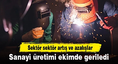 Sanayi üretimi ekimde geriledi