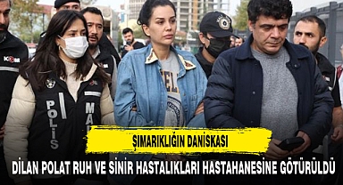 ŞIMARIKLIĞIN DANİSKASI