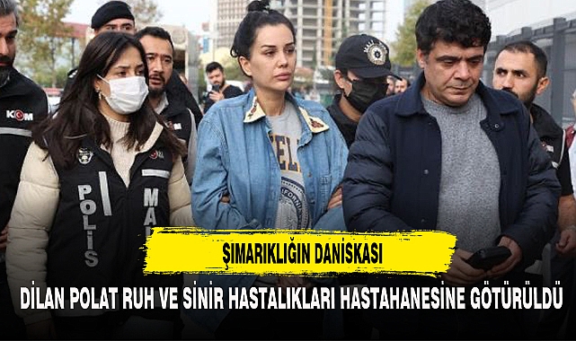 ŞIMARIKLIĞIN DANİSKASI