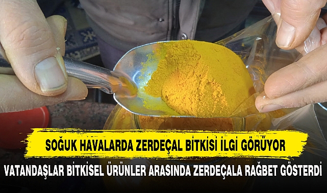 SOĞUK HAVALARDA ZERDEÇAL BİTKİSİ İLGİ GÖRÜYOR