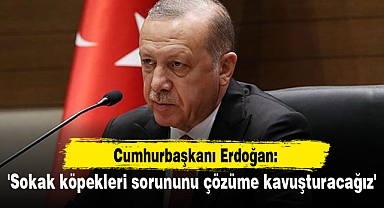 'Sokak köpekleri sorununu çözüme kavuşturacağız'