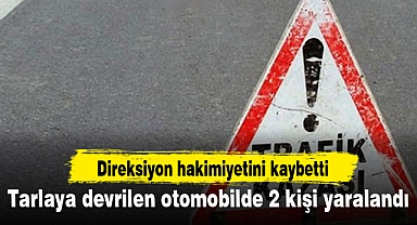 Tarlaya devrilen otomobilde 2 kişi yaralandı