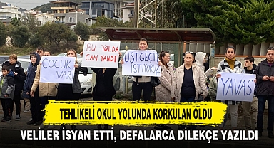 TEHLİKELİ OKUL YOLUNDA KORKULAN OLDU