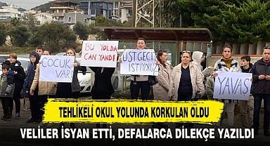 TEHLİKELİ OKUL YOLUNDA KORKULAN OLDU