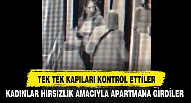 TEK TEK KAPILARI KONTROL ETTİLER