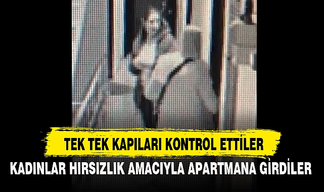 TEK TEK KAPILARI KONTROL ETTİLER