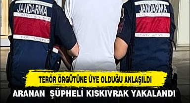 TERÖR ÖRGÜTÜNE ÜYE OLDUĞU ANLAŞILDI