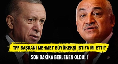 TFF Başkanı Mehmet Büyükekşi İstifa Mı Etti?