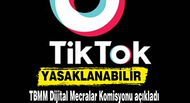 TikTok, Türkiye'de yasaklanabilir.