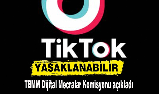 TikTok, Türkiye'de yasaklanabilir.