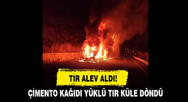 TIR ALEV ALDI!