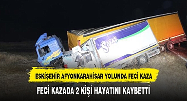 Tır ile kamyonet kafa kafaya çarpıştı: 2 ölü