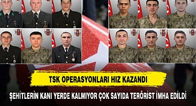 TSK art arda operasyonlarla çok sayıda teröristi etkisiz hale getirdi