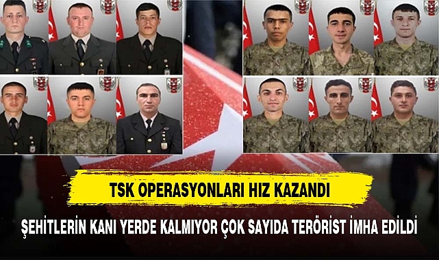 TSK art arda operasyonlarla çok sayıda teröristi etkisiz hale getirdi