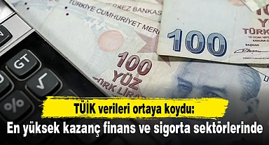 TÜİK verileri ortaya koydu: En yüksek kazanç finans ve sigorta sektörlerinde