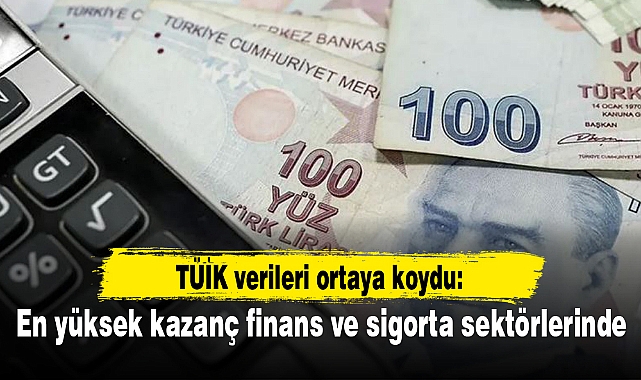 TÜİK verileri ortaya koydu: En yüksek kazanç finans ve sigorta sektörlerinde