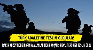 Türk Adaletine Teslim Oldular!