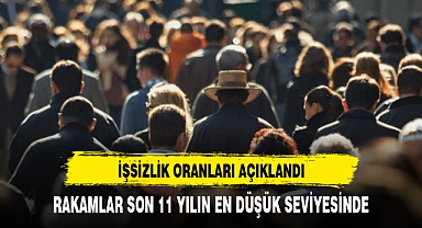 Türkiye'de işsizlik son 11 yılın en düşük seviyesinde