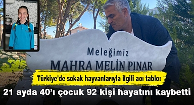 Türkiye’de sokak hayvanlarıyla ilgili acı tablo: 21 ayda 40’ı çocuk 92 kişi hayatını kaybetti