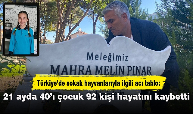 Türkiye’de sokak hayvanlarıyla ilgili acı tablo: 21 ayda 40’ı çocuk 92 kişi hayatını kaybetti