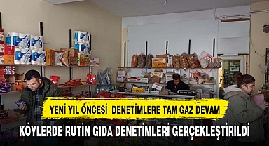 Yeni yıl öncesinde denetimlere hız verildi