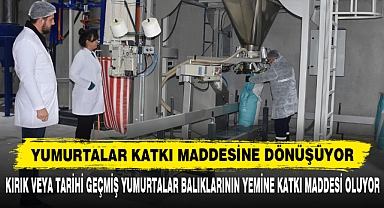 Yumurtalar Katkı Maddesine Dönüşüyor