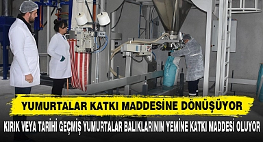 Yumurtalar Katkı Maddesine Dönüşüyor